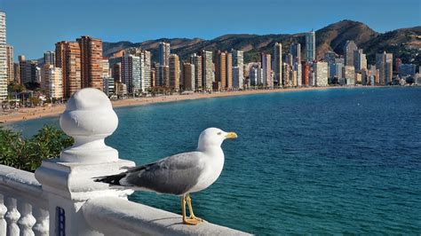 cruising en benidorm|Benidorm – Guía Cruising Gay